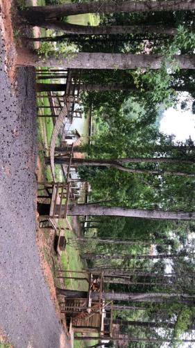 Gambar di galeri bagi Cabana da Árvore e Cabana Retrô - ForestPlace di Monte Verde