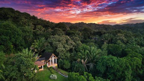 an aerial view of a house in the middle of a forest at Casa Varuna - 2 Bedrooms in West End