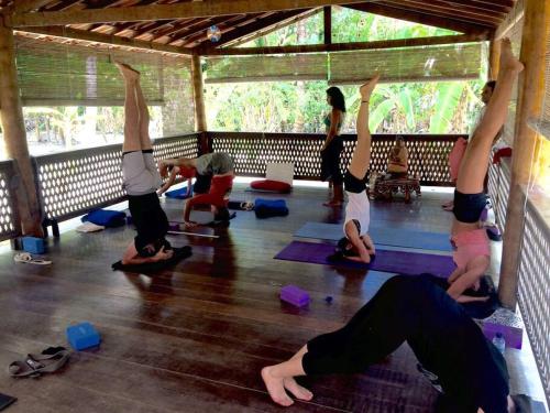 Επισκέπτες που μένουν στο Casinha Jardim das Palmeiras