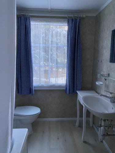 bagno con lavandino, servizi igienici e finestra di Familienferien im Chalet Bärgli Kandersteg a Kandersteg