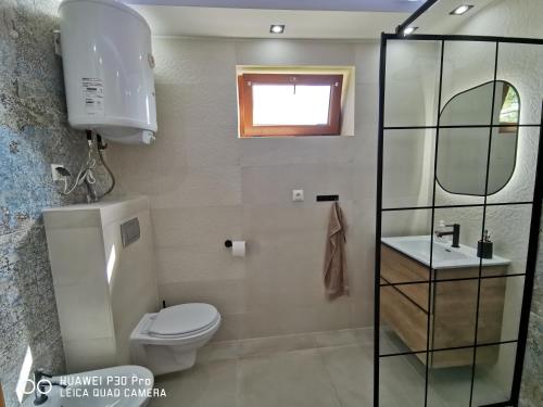 ザボヤにあるDomek na Niedźwiedziarceのバスルーム(トイレ、洗面台、鏡付)