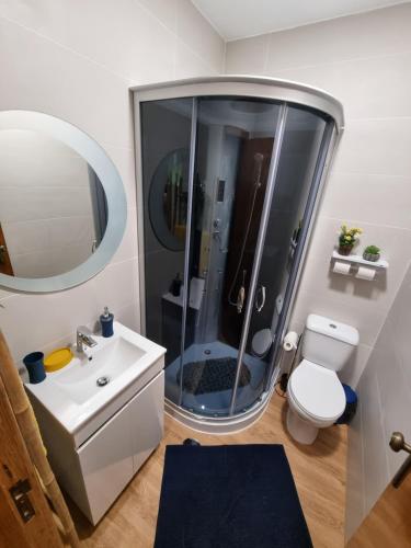 uma casa de banho com um chuveiro, um WC e um lavatório. em Serra da Estrela Guest House na Covilhã