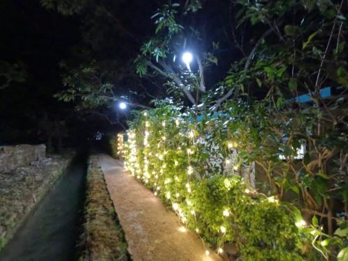 a row of hedges with lights at night at CAMP BIG CAT CORBETT, Hotel Resort booking, Dhikuli, Near Kosi River, garjiya Bijrani Sitabani Safari ZonesJim Corbett Park, Ramnagar in Garjia