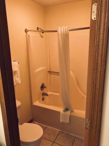 a bathroom with a toilet and a shower with a shower curtain at Honeysuckle Inn in Mountain View