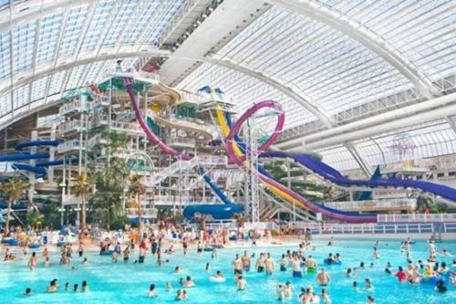 a group of people in a pool at a water park at Chic Hideaway, 5BR near DT, Fireplace, King Bed, Fast Wifi, Sleeps 13! in Edmonton