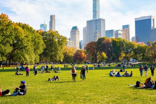 a group of people sitting in a park at Nap York Central Park Sleep Station in New York