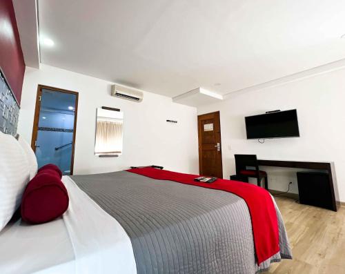 a bedroom with a large bed and a television at Hotel Florencia Plaza in Medellín