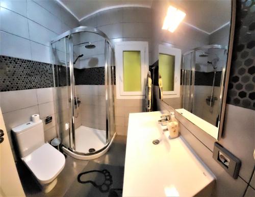 a bathroom with a shower and a toilet and a sink at Seaview Chalet in Arafo