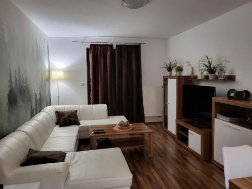 Televízia a/alebo spoločenská miestnosť v ubytovaní Apartmán Lipno 50