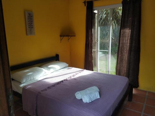 Gallery image of Viajero La Pedrera Hostel in La Pedrera