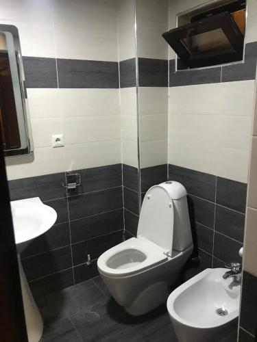 a bathroom with a toilet and a sink at Guesthouse David Zhorzholiani in Mestia
