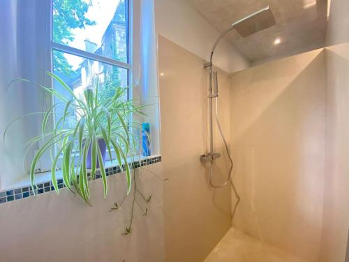 uma casa de banho com um chuveiro e uma planta em Charmant appartement - centre Cité Plantagenet!!! em Le Mans