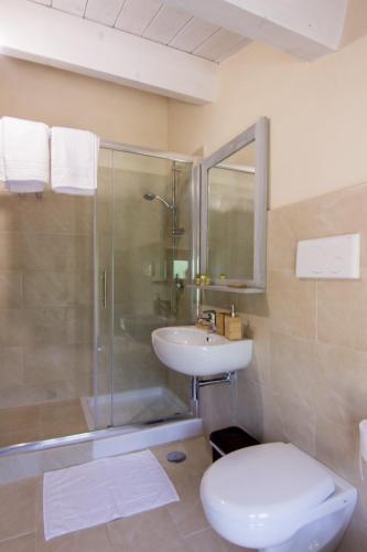 a bathroom with a shower and a toilet and a sink at Tenuta del Savonisco in Picinisco