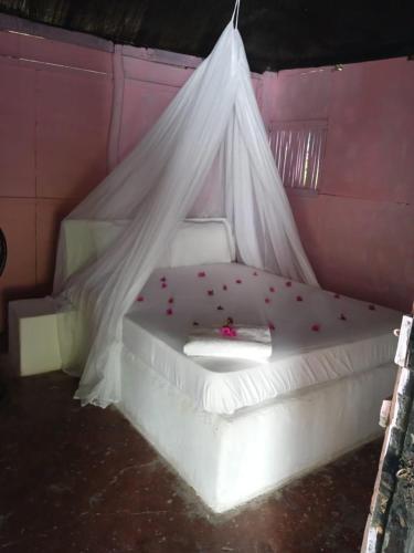 Un ou plusieurs lits dans un hébergement de l'établissement ECOHOTEL LAS FLORES Econativo