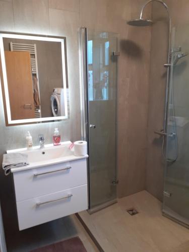 bagno con lavandino e doccia con specchio di Bifröst a Bifrost