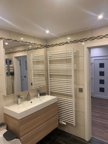 een badkamer met een wastafel en een spiegel bij Ferienwohnung Vanessa in Remagen