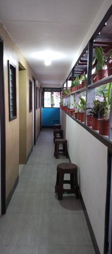 um corredor com bancos e vasos de plantas num edifício em The Plant House in Iloilo City 12Pax em Iloilo