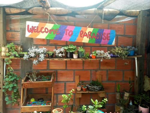 un muro con un cartello di benvenuto e piante in vaso di Hostal La Casa Rosada a Lejanías