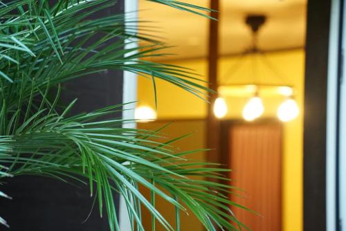 een groene plant voor een deur met verlichting bij Cachette -SEVEN Hotels and Resorts- in Uruma