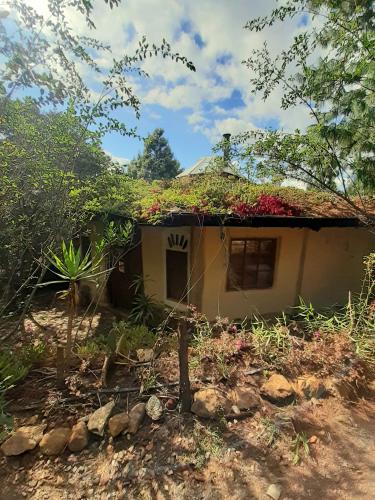 Un jardín fuera de Zuna