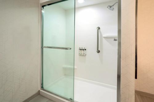 um chuveiro com uma porta de vidro na casa de banho em Holiday Inn Express Hotel & Suites Dover, an IHG Hotel em Dover