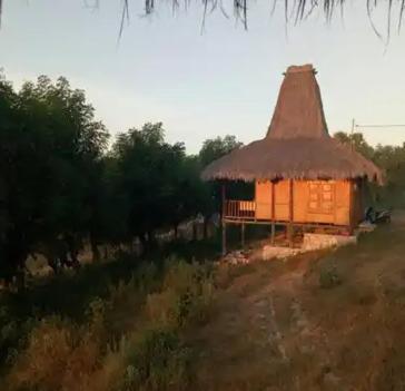 une petite cabane avec un toit en paille dans un champ dans l'établissement GUEST HOUSE, à Ndangu