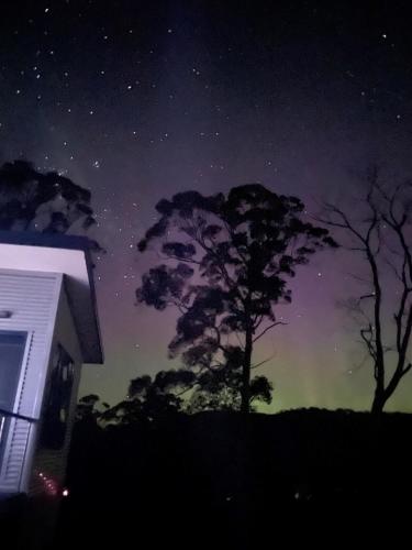 a starry sky with trees and a house at night at Hill Top Retreat in Nubeena