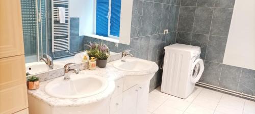 - Baño con 2 lavabos y aseo en Nouveau - Le Médicis - Centre en Sarrebourg