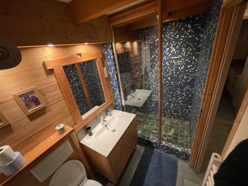 a bathroom with a toilet and a sink and a shower at L ALPIN bel appartement avec terrasse dans vieille ferme de montagne rénovée in Les Orres