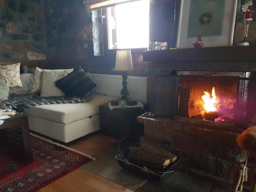 a living room with a fireplace and a couch at Mountain house in Palaios Agios Athanasios