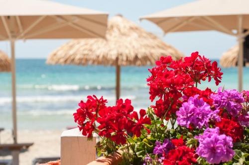 a bunch of flowers on a beach with umbrellas at Conchiglia Azzurra Resort & Beach in Porto Cesareo