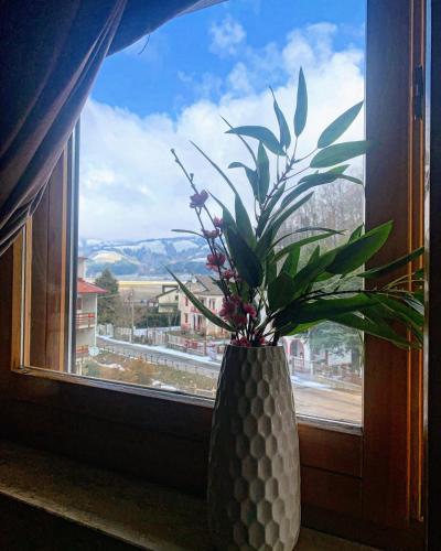 a vase sitting on a window sill with a plant at Brain Residence Laceno in Villaggio Laceno