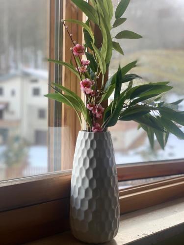 a vase with a plant sitting on a window sill at Brain Residence Laceno in Villaggio Laceno