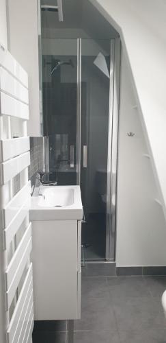 La salle de bains blanche est pourvue d'un lavabo et d'une douche. dans l'établissement Port de La Houle - Beau 3 pièces classé 3 étoiles avec garage privé, à Cancale