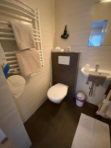 a small bathroom with a toilet and a sink at Pension Aschlandhof in Obsteig