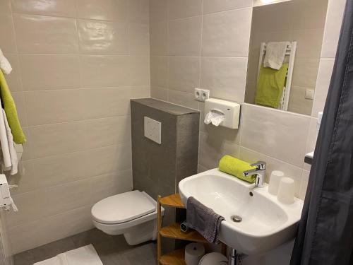 a small bathroom with a sink and a toilet at Pension Aschlandhof in Obsteig