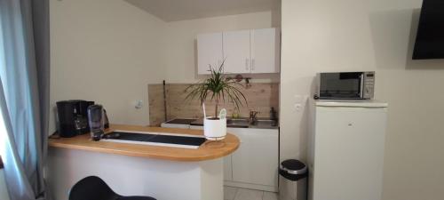 une petite cuisine avec un évier et un réfrigérateur dans l'établissement Au pied du Château, à Bellegarde-du-Loiret