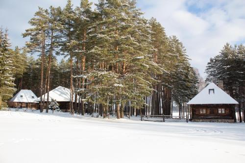 a group of cabins in the snow with trees at Gungas in Ādaži