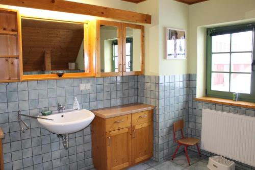 y baño con lavabo y espejo. en Ferienhaus Schellerhäusl en Kurort Altenberg