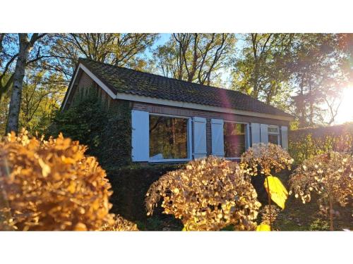 a small house with blue windows and bushes at lovely house located in a private natural area in Vessem