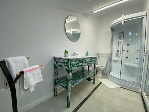 La salle de bains est pourvue d'un lavabo, d'une douche et d'un miroir. dans l'établissement Pensiunea Damir, à Arad