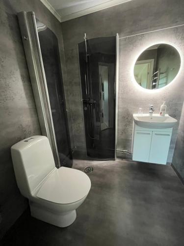 bagno con servizi igienici, lavandino e specchio di Hotell Hammarstrand a Hammarstrand