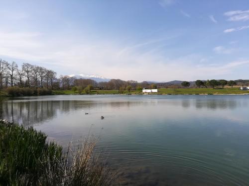 a large lake with ducks in the water at Maison Do Mi Sol in Reynès