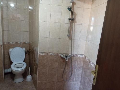 a bathroom with a shower with a toilet at Petar Guest House in Bansko