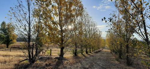 Chalet privado Trapiche San Luis – Photos 2