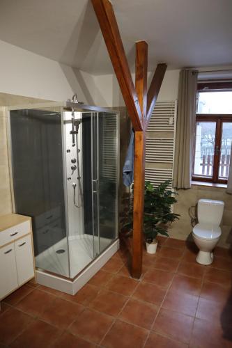 uma casa de banho com um chuveiro e um WC. em Prázdninový dům Jirkov em Železný Brod