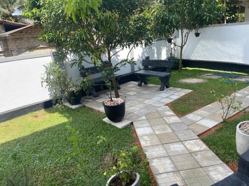 a garden with a bench and a tree in it at New View Hikkaduwa in Hikkaduwa
