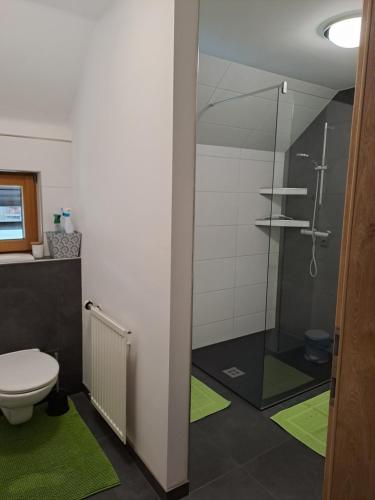 a bathroom with a toilet and a glass shower at Ferienwohnung Schmaranzer in Gosau