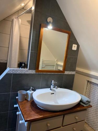 une salle de bain avec un lavabo et un miroir dans l'établissement Gîte de la Pisserotte, à Montigny-sur-Armançon