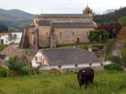 una vaca parada en un campo frente a un castillo en Oli Vita Hostel ALBERGUE CON ENCANTO, en Viveiro